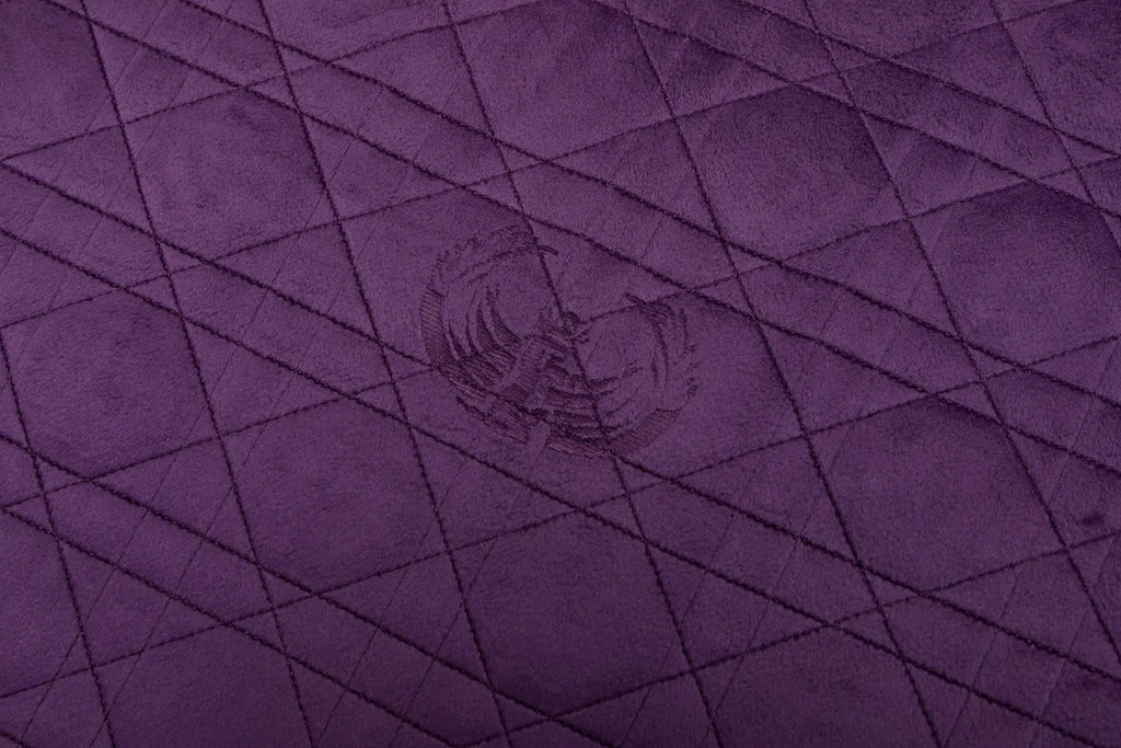 Quantum Energy Pad BioMat