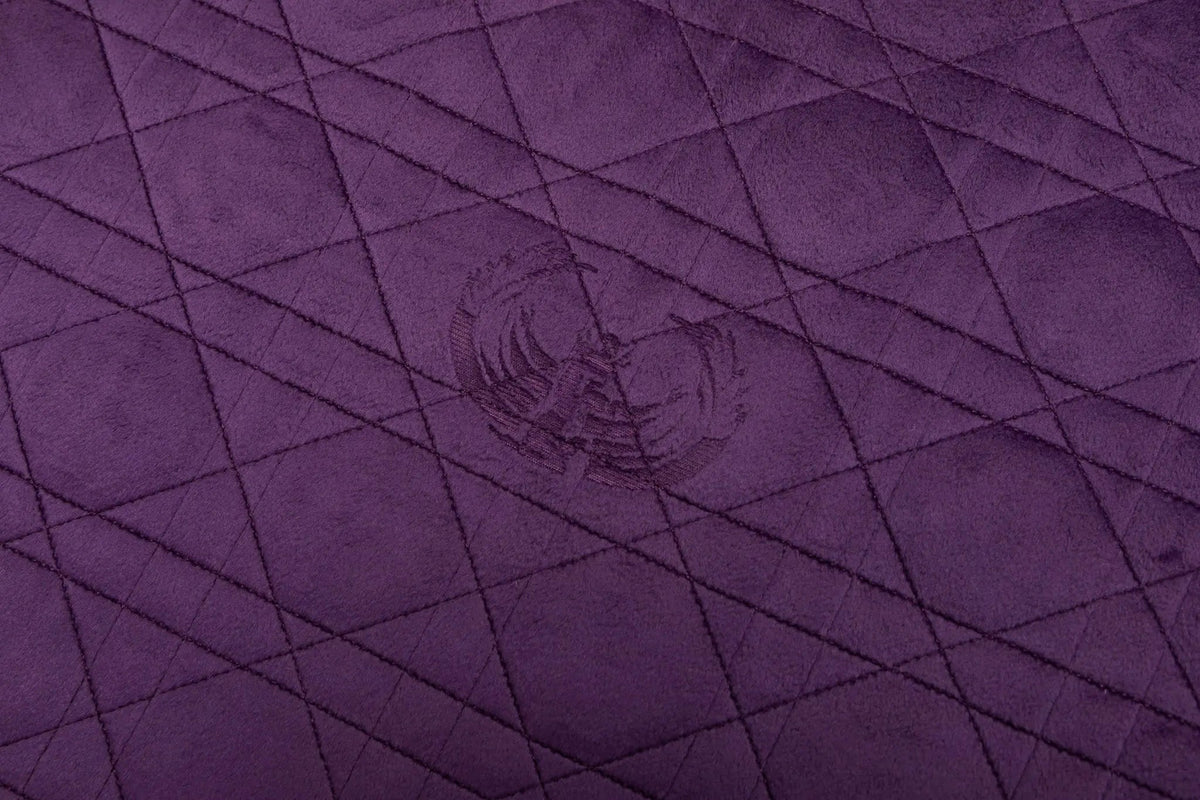 Quantum Energy Pad BioMat
